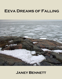 EEVA Dreams of Falling