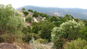 view of Crete