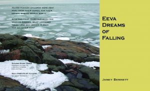 Eeva cover Landscape